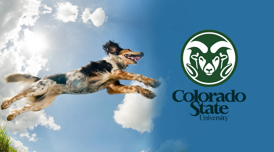 PetVivo Holdings, Inc. Announces Sponsored Research Agreement with Colorado State University for Osteoarthritis Treatment Study.