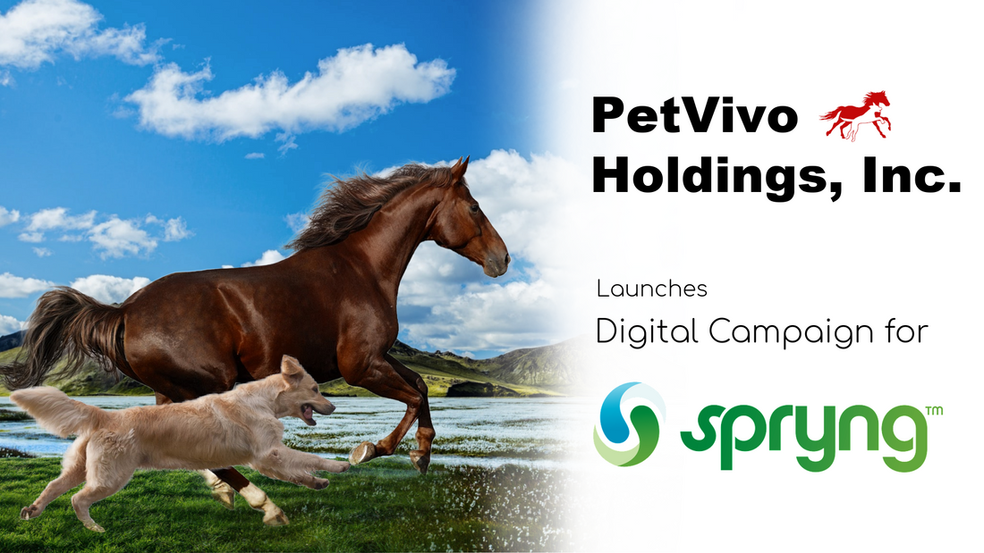 PETVIVO HOLDINGS, INC. LAUNCHES DIGITAL MEDIA CAMPAIGN